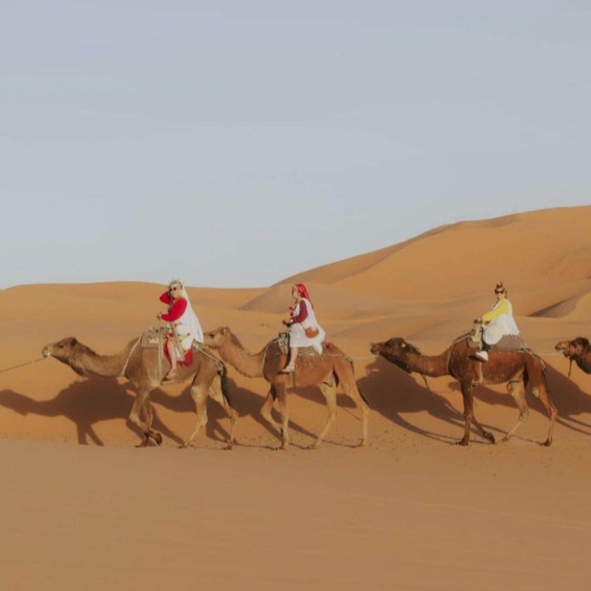 Unique Sahara Camp 호텔 메르주가 외부 사진