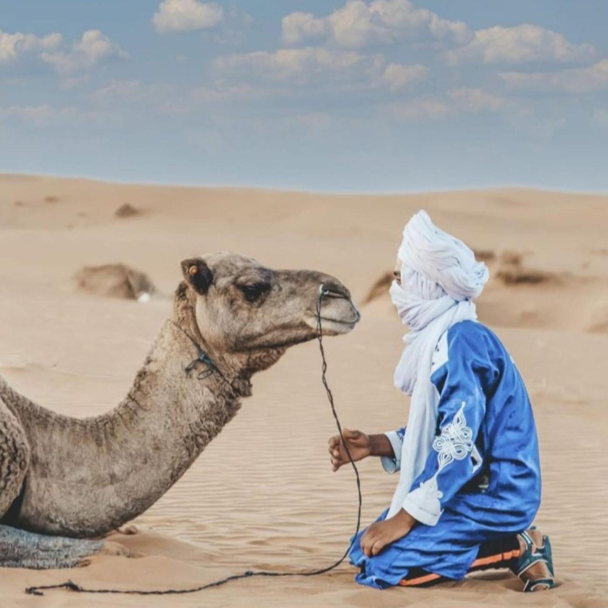 Unique Sahara Camp 호텔 메르주가 외부 사진