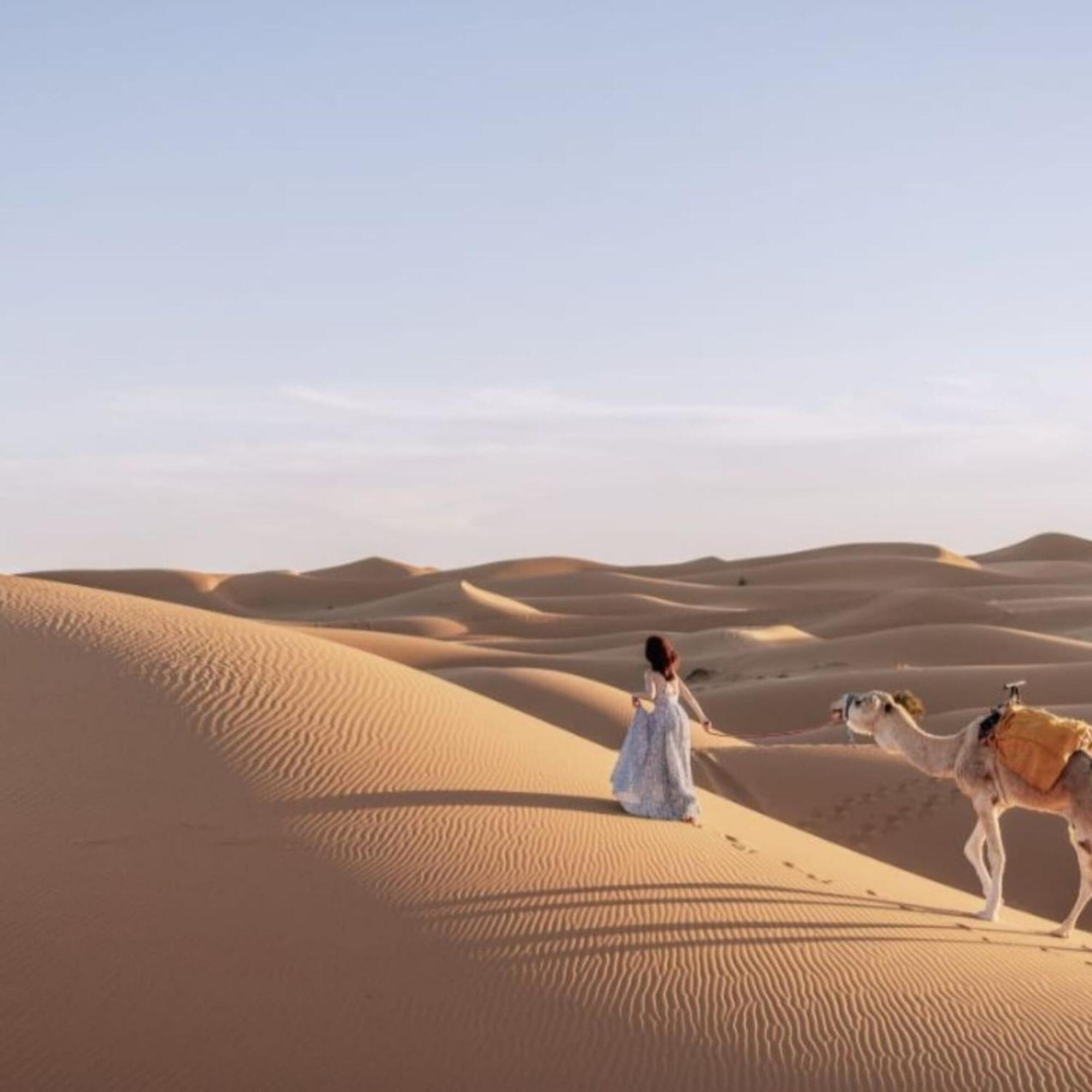 Unique Sahara Camp 호텔 메르주가 외부 사진