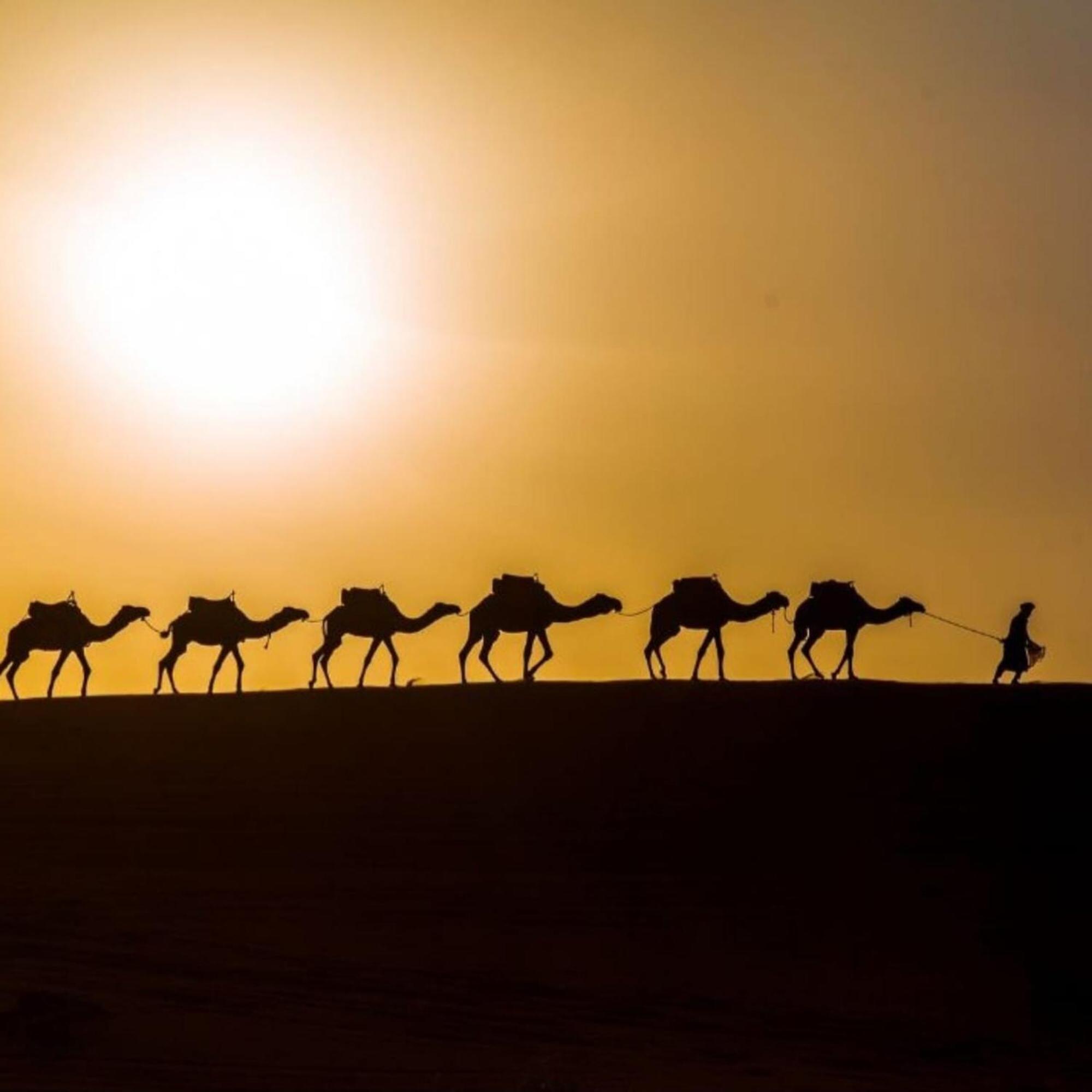 Unique Sahara Camp 호텔 메르주가 외부 사진