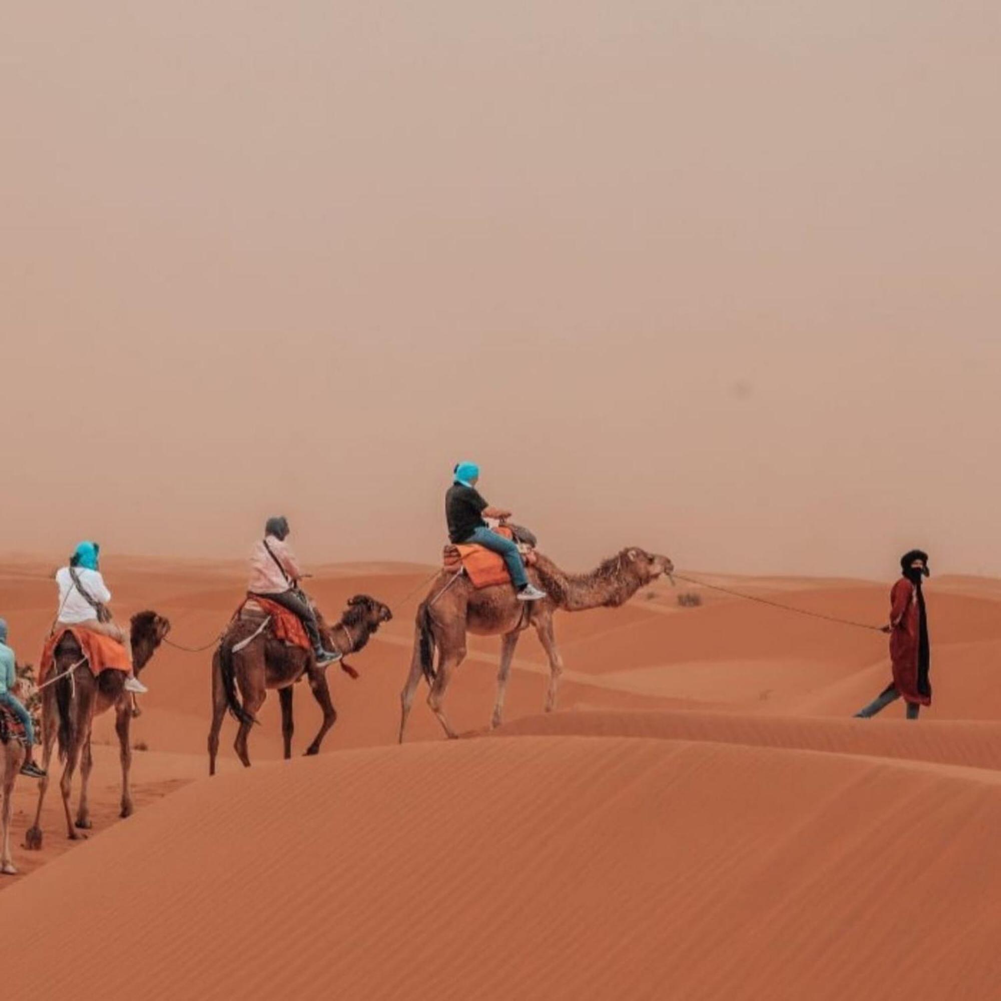 Unique Sahara Camp 호텔 메르주가 외부 사진