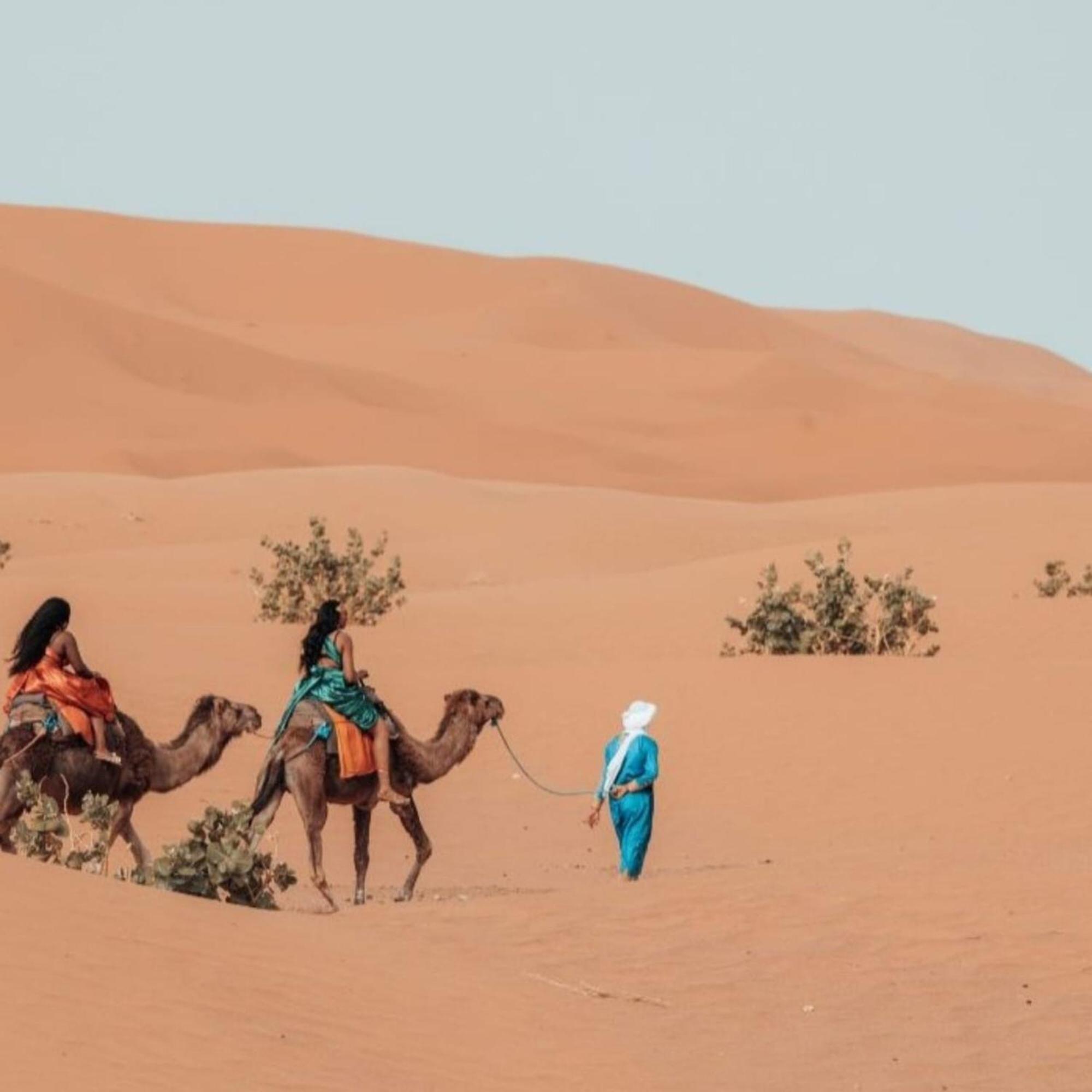 Unique Sahara Camp 호텔 메르주가 외부 사진